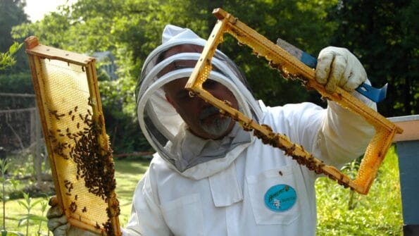 Yemeni Honey